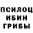 ГЕРОИН хмурый Hugo Bauret
