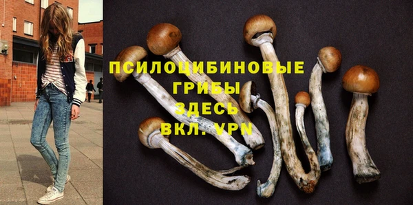 Альфа ПВП Алзамай
