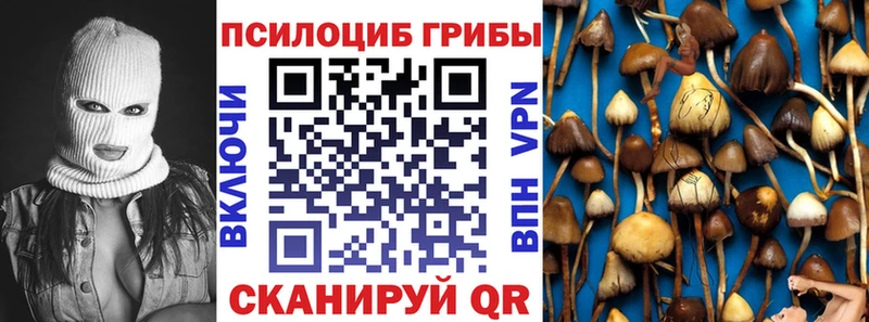 где купить наркотик  Санкт-Петербург  Галлюциногенные грибы GOLDEN TEACHER 